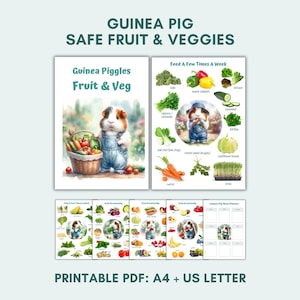 Meerschweinchen Futterkarten | Sicheres Obst & Gemüse | Futterplan Vorlage | Ernährungsratgeber - druckbare PDFs