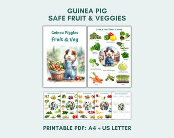 Tabelle alimentari per porcellini d'India / Frutta e verdura sicure / Modello di piano alimentare / Guida nutrizionale - PDF stampabili
