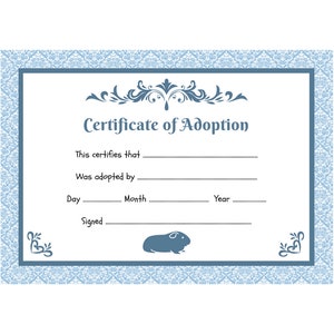 Certificaat van adoptie van een cavia | Afdrukbare PDF | A4 downloaden | Direct thuis afdrukken sjabloon | Blauw