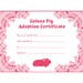 see more listings in the Adoption Certificates section