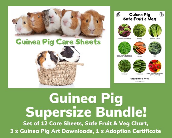 Guinea Pig Veggie Chart