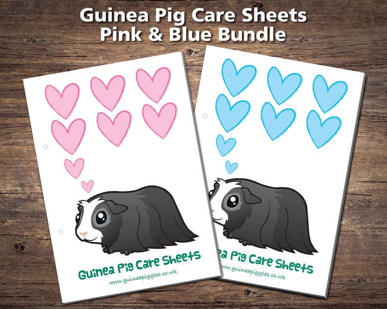 Guinea Pig CARE SHEETS BUNDLE in Pink and Blue Printable - Etsy UK