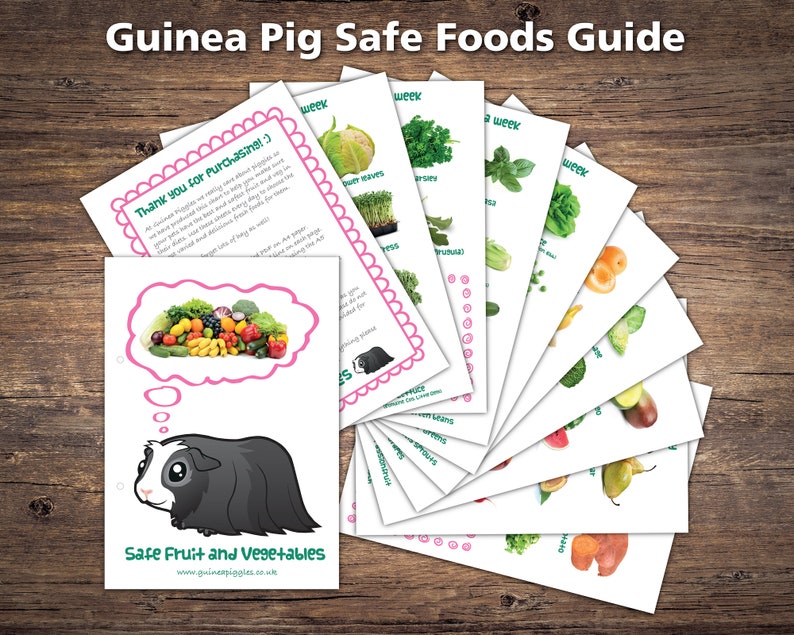 Guinea Pig Food List Printable PDF Safe Fruits ...