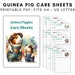 see more listings in the Guinea Pig Care Sheets section