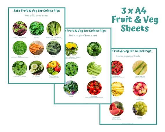 How To Make Vegetable Chart