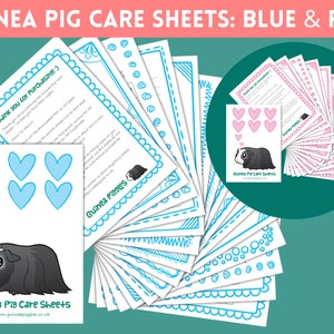 Guinea Pig CARE SHEETS BUNDLE in Pink and Blue Printable Checklists ...