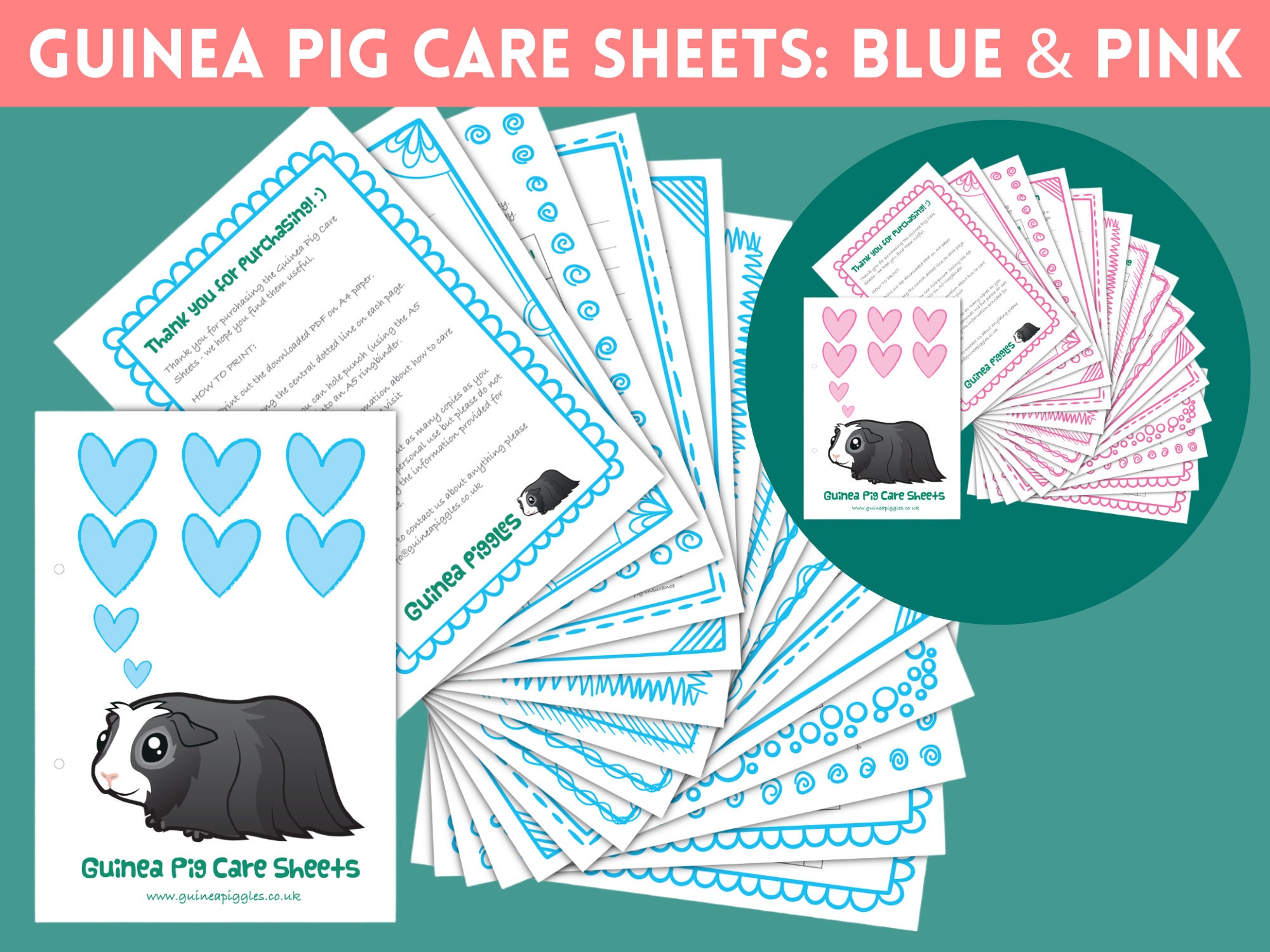 Guinea Pig CARE SHEETS BUNDLE in Pink and Blue Printable Checklists ...