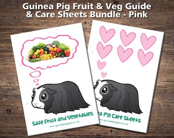 Guinea Pig Care Sheets Bundle Printable Checklists Charts &amp; | Etsy