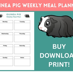 Guinea Pig Weekly Meal Planner Organiser Sheet Digital Printable PDF by Guinea Piggles image 1