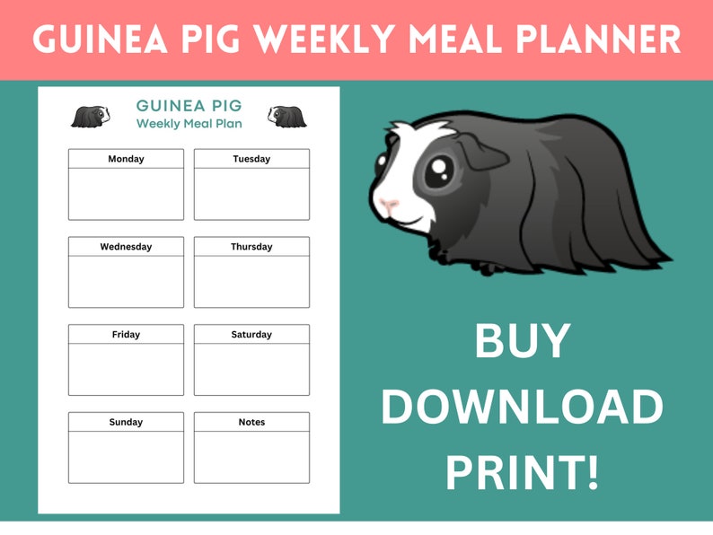 Meerschweinchen Wöchentlicher Meal Planner Organiser Blatt Digital druckbare PDF von Meerschweinchen Bild 1