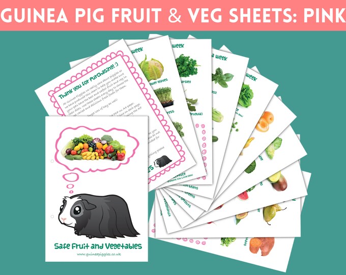 Guinea Pig Food List Printable PDF | Safe Fruits &amp; Vegetables Chart for ...