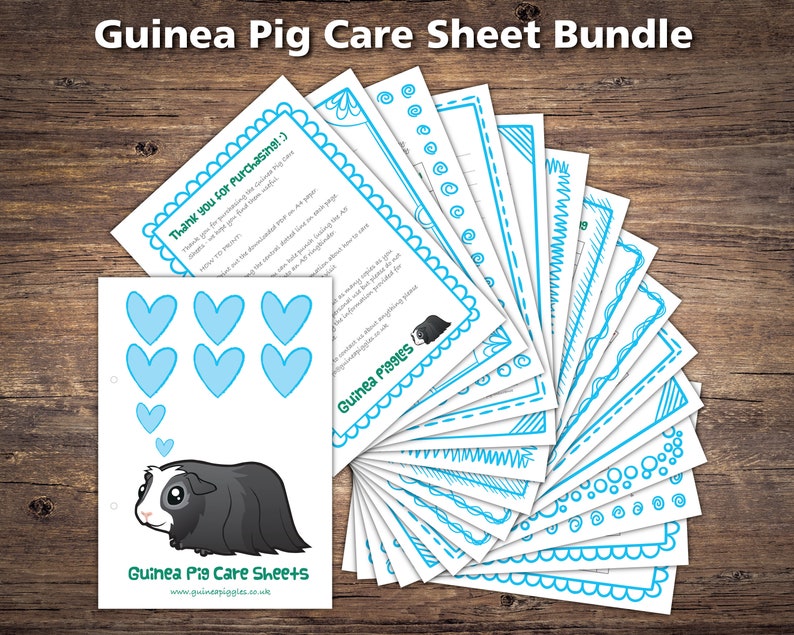 Guinea Pig Care Sheets Bundle Printable Checklists Charts &amp; - Etsy UK
