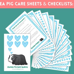 Guinea Pig Care Sheets Bundle Printable Checklists, Charts ...