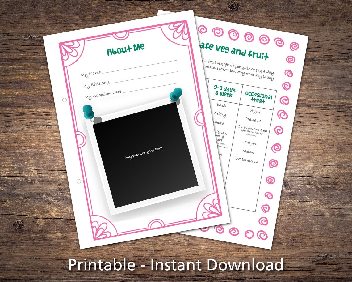 Guinea Pig Care Sheets Bundle Printable Checklists Charts &amp; - Etsy UK