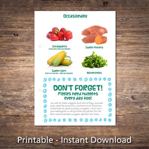 Guinea Pig Food List Printable PDF Safe Fruits &amp; Vegetables Chart for ...