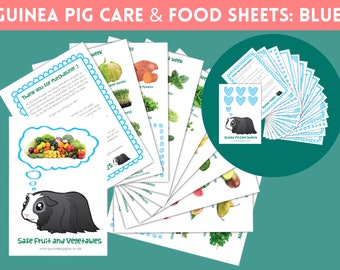 Blue GUINEA PIG Care Sheets & Safe Fruit and Veg Sheets BUNDLE | Printable Checklists and References | Digital Download Pdf