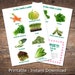 Guinea Pig Food List Printable PDF Safe Fruits &amp; Vegetables - Etsy