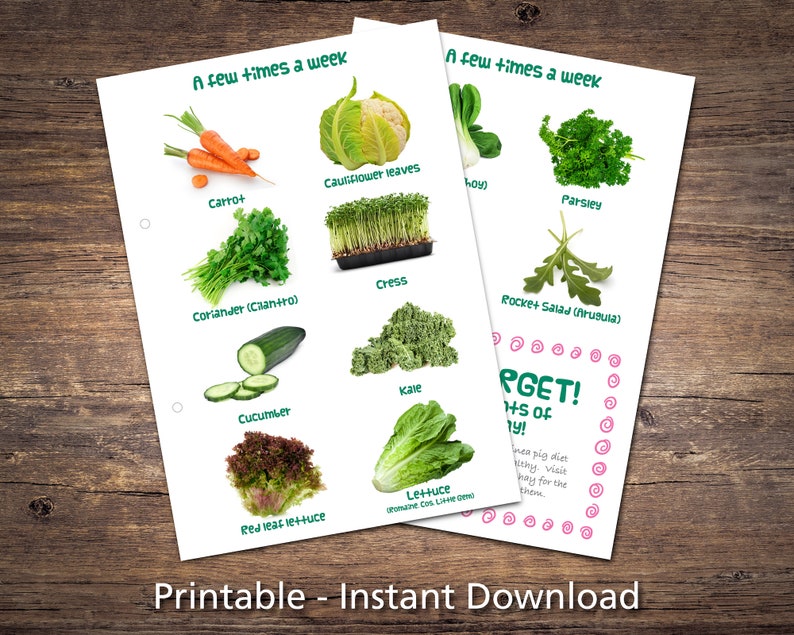 Guinea Pig Food List Printable PDF Safe Fruits &amp; Vegetables | Etsy