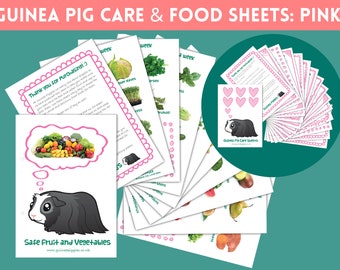 Pink GUINEA PIG Care Sheets | Fruit and Veg Sheets BUNDLE | Printable Checklists | Digital Download Pdf