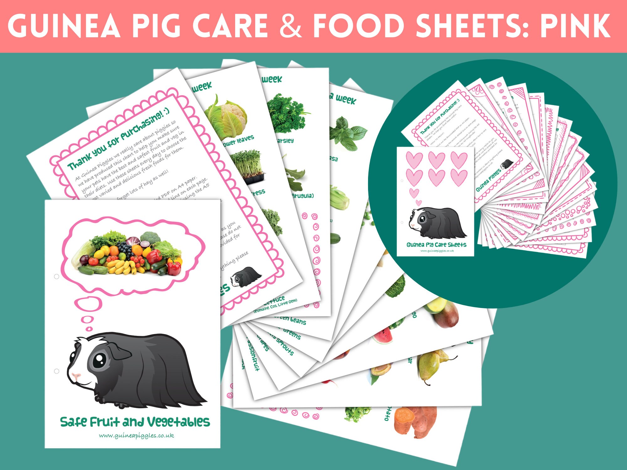 Pink GUINEA PIG Care Sheets Fruit and Veg Sheets BUNDLE - Etsy