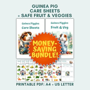 Guinea Pig Care Sheets & Food Charts Pack PDF Printables Downloads