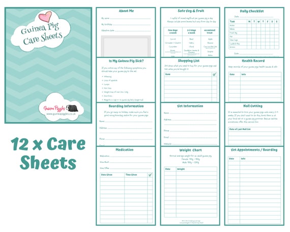 Guinea Pig Food Chart Pdf