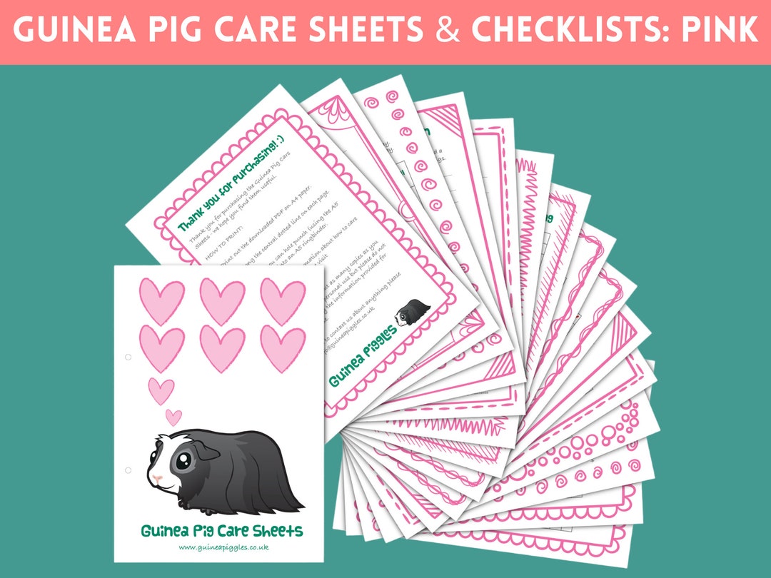 12 Guinea Pig Care Sheets Printables Checklists Charts &amp; Information ...