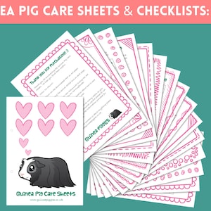 12 Guinea Pig Care Sheets Printables Checklists Charts & Information Daily Routine Digital Download PDF image 1