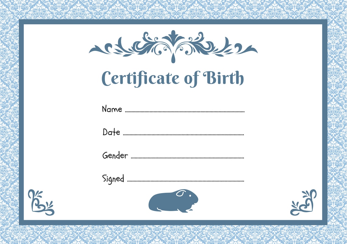 Guinea Pig Birth Certificate Printable PDF A4 Download Instant Print at