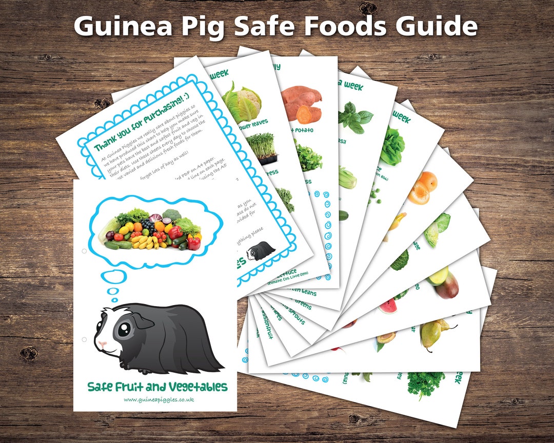 Guinea Pig Food List Printable PDF Safe Fruits &amp; Vegetables - Etsy UK