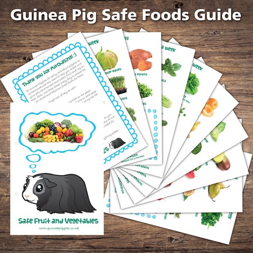 Guinea Pig Food Guide Food Lists Printable Digital Denmark guinea-pig-food-guide-food-lists-printable-digital-denmark