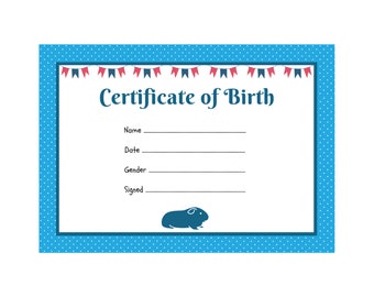 Guinea Pig Birth Certificate  | Printable PDF | A4 Download | Instant Print at Home Template