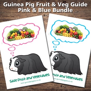 Guinea Pig Food List Printable PDF Safe Fruits &amp; Vegetables - Etsy