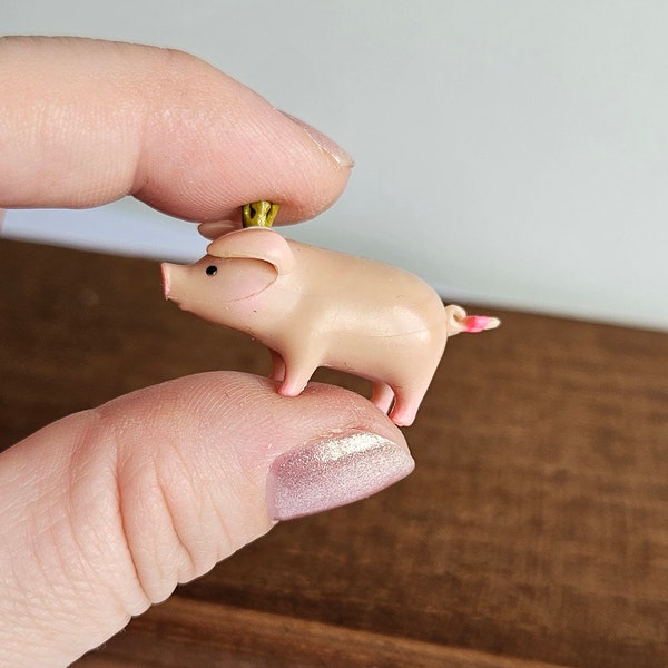 Miniature Pig Wearing A Crown