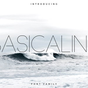 Basicaline Font Family - Sans Serif
