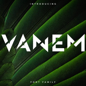 Vanem Font Family – Display Font
