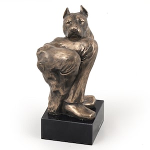 Könnte beinhalten: Bronzeskulptur eines Pitbull-Hundes, der mit gekreuzten Beinen sitzt. Der Hund steht auf einem schwarzen Marmorsockel.