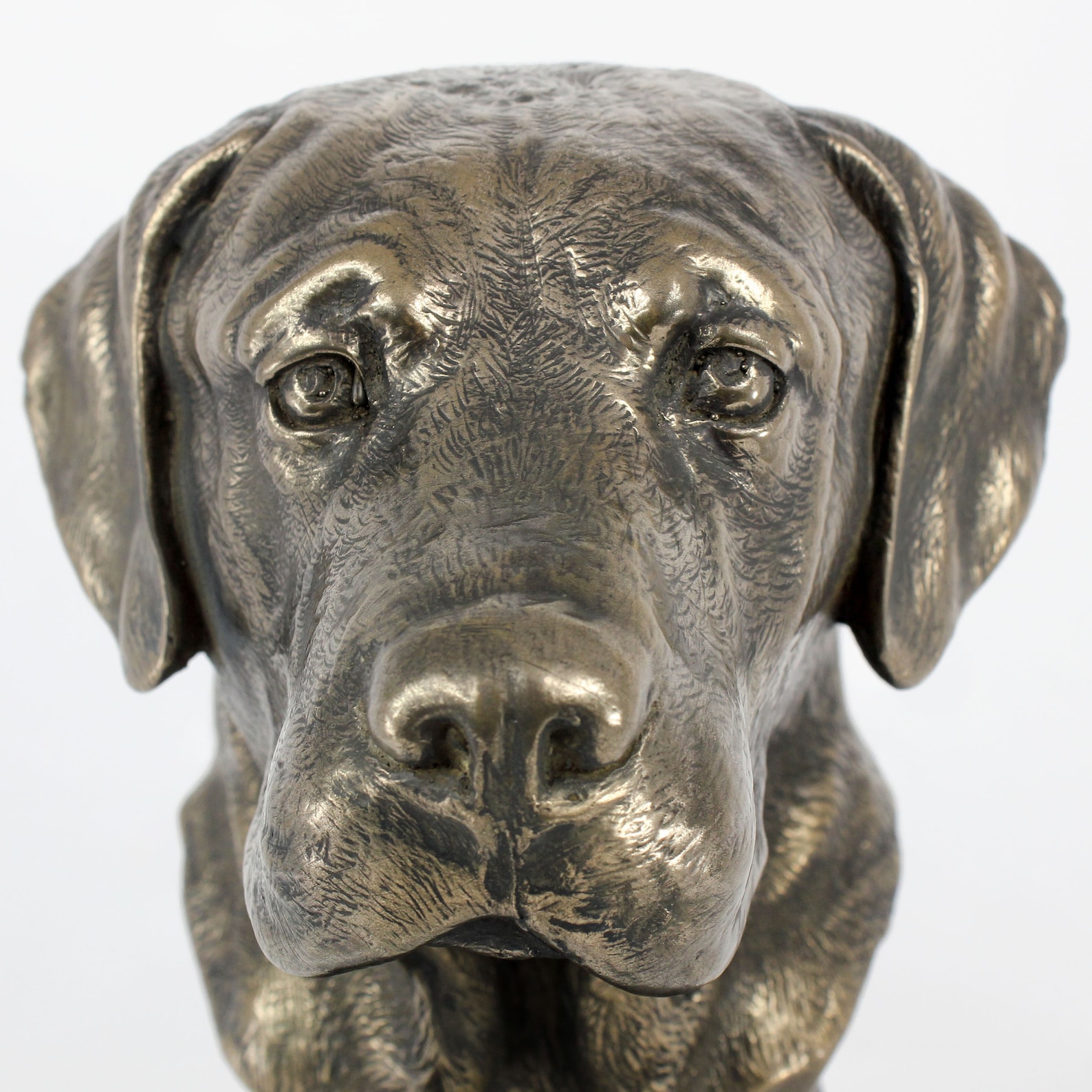 Labrador Retriever Statue Cold Cast Bronze Sculpture Marble Etsy