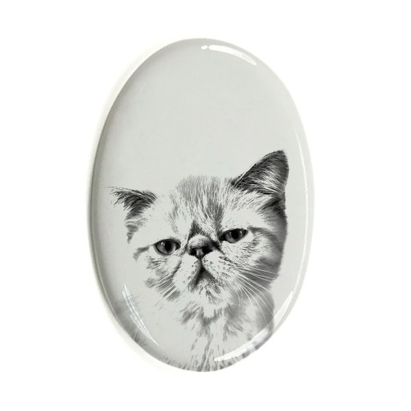 Exotic shorthair Tombstone Plaque with a Photo of a Cat, Ceramic plate with Your Cat's Photo, Custom Memorial Plaque