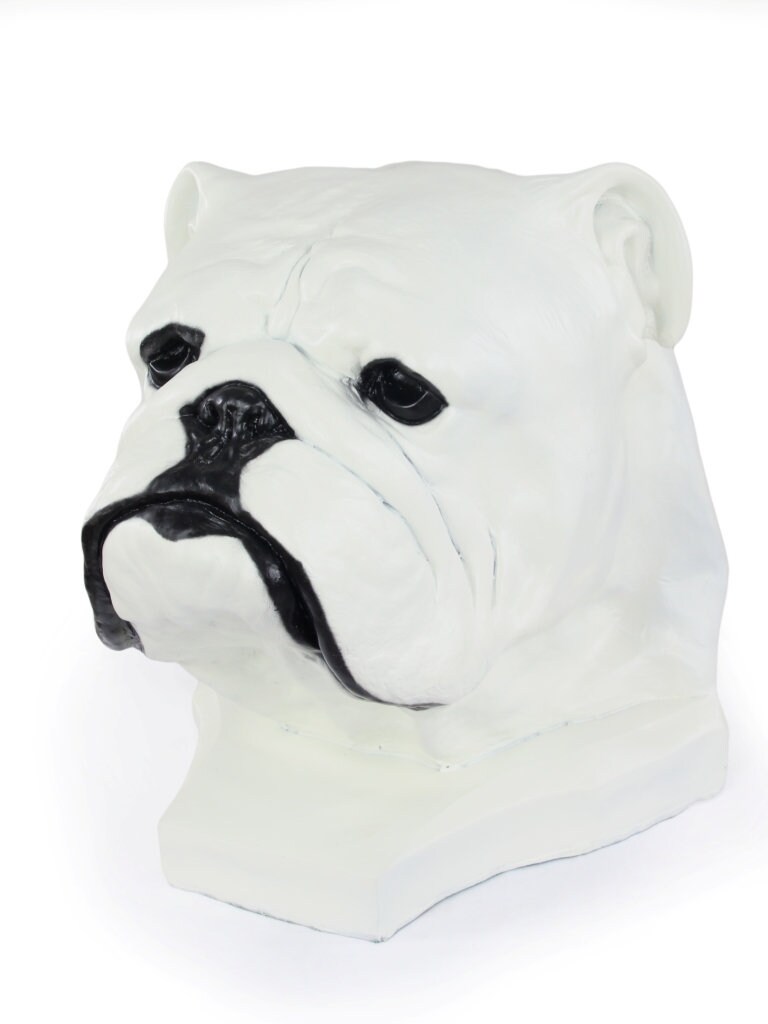 English Bulldog White Urn for Dog Ashes Big Head Statue Etsy