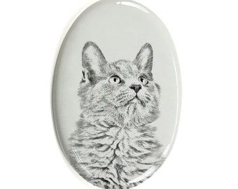 Nebelung Cat Tombstone Plaque with a Photo of a Cat, Ceramic plate with Your Cat&#39;s Photo, Custom Memorial Plaque