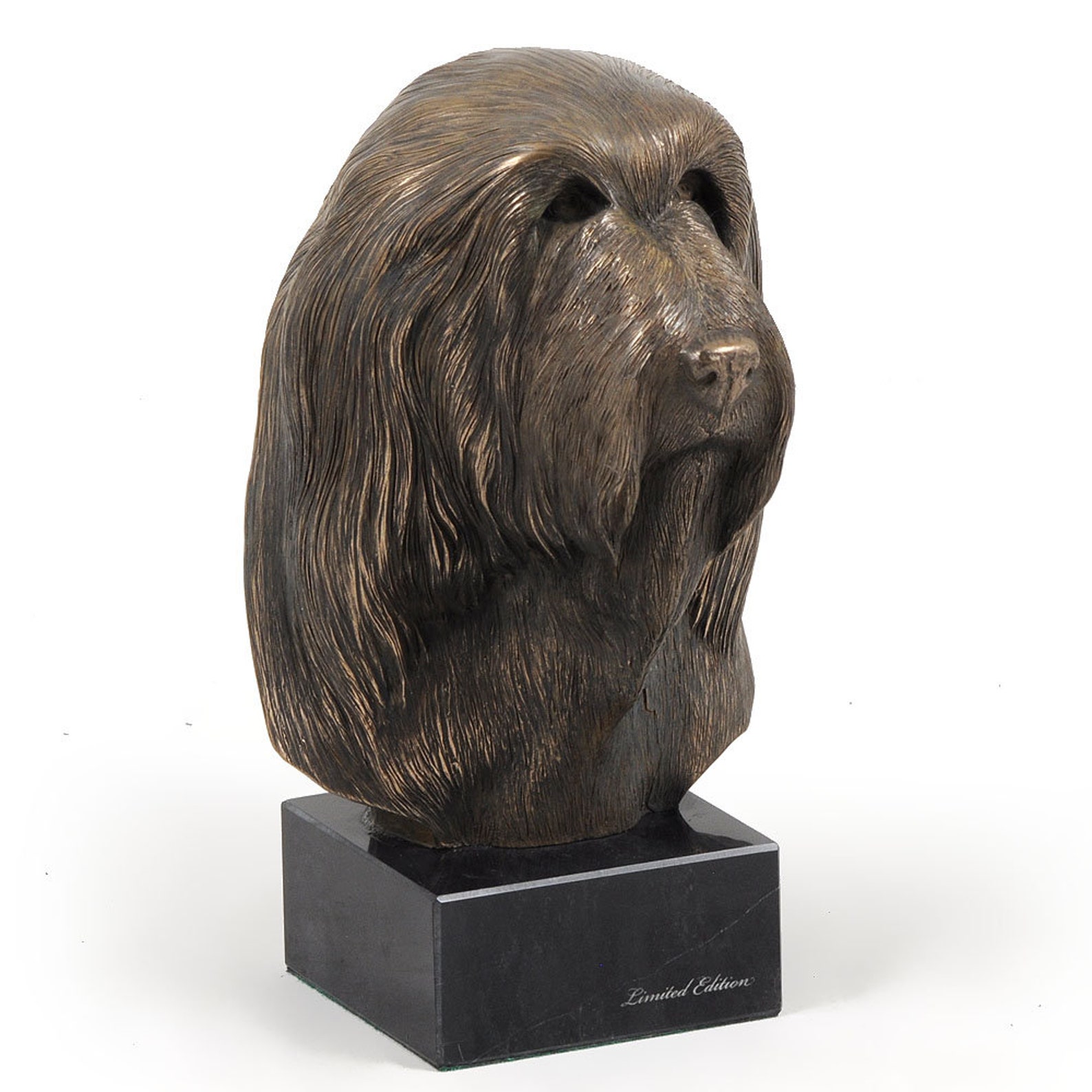 Buste Bearded Collie - Statue Miniature Chien - Art Dog - Édition Limitée