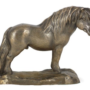 Shetland Horse Statue, Cold Cast Bronze Sculpture, Wooden Base, Home and Office Decor, Horse Trophy, Horse Figurine, Horse Memorial
