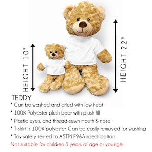 Memory Bear, Sympathy Bear, Loss of Mom, Mother sympathy Gifts, Loss of Loved Ones, Loss of Dad, Children Keepsake Memorial Teddy Bear Gift image 5