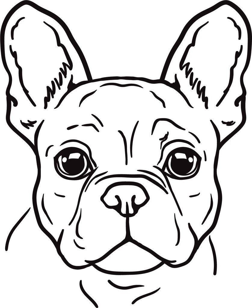Französische Bulldogge Autoaufkleber - Etsy.de