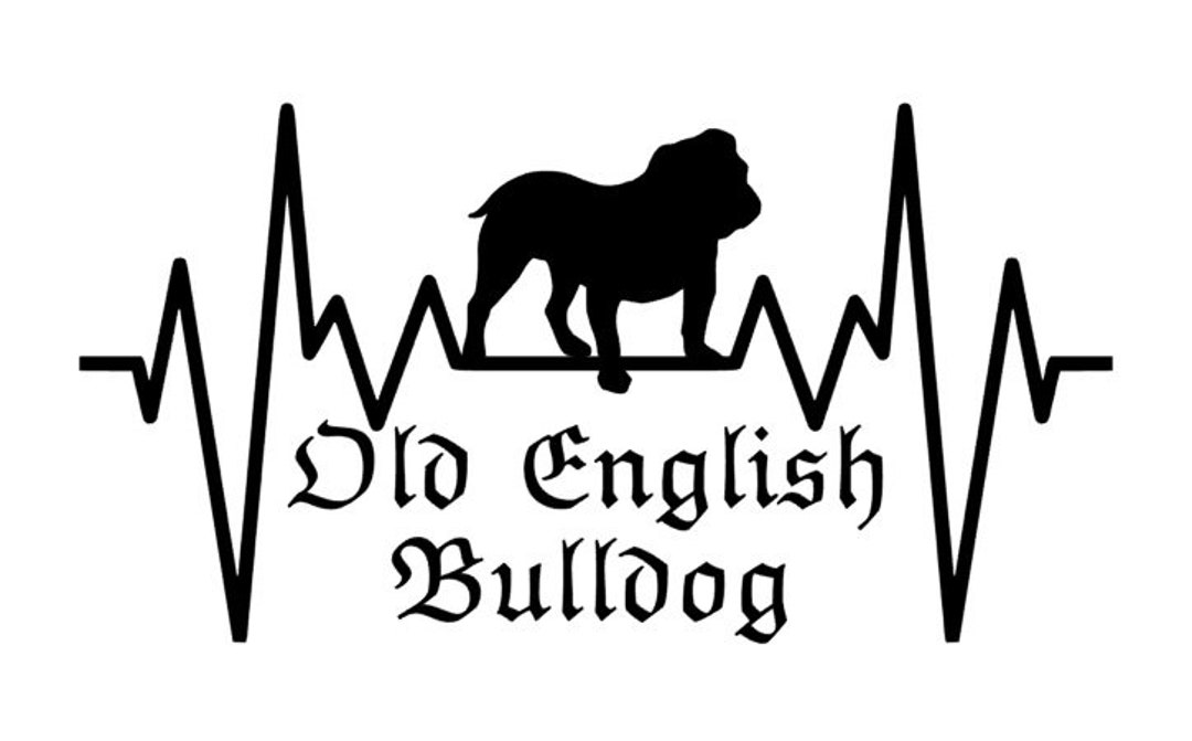 Siviwonder Turnbeutel Mit OEB Old English Bulldog Print – Baumwolltasche 37x46 Cm, 12 Liter | Schwarzes Design, Kordelzug