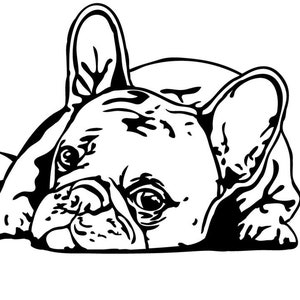 French Bulldog Bumper Stickers