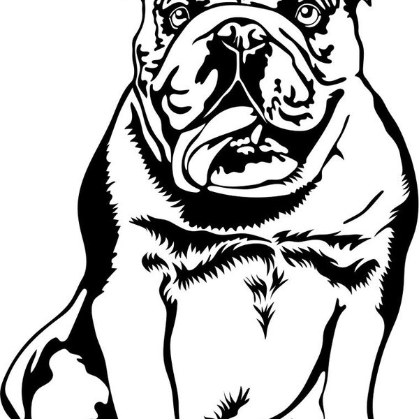 Englische Bulldogge Aufkleber / Autoaufkleber