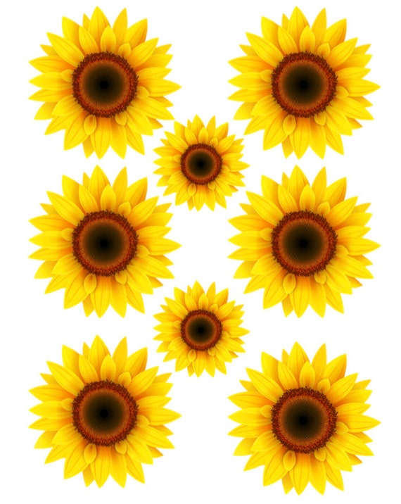 Free Free 131 Sunflower Waterslide Svg SVG PNG EPS DXF File