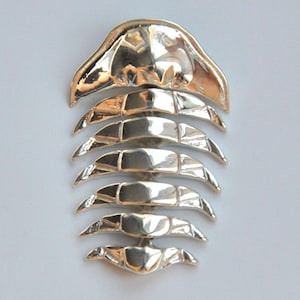 Silver Trilobite Pendant, Fossil pendant, Fossil Jewelry